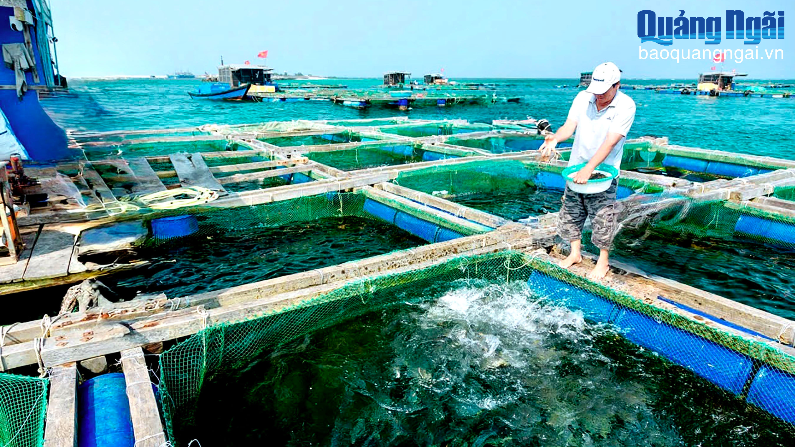 Khẳng định “thủ phủ” tôm giống nước lợ