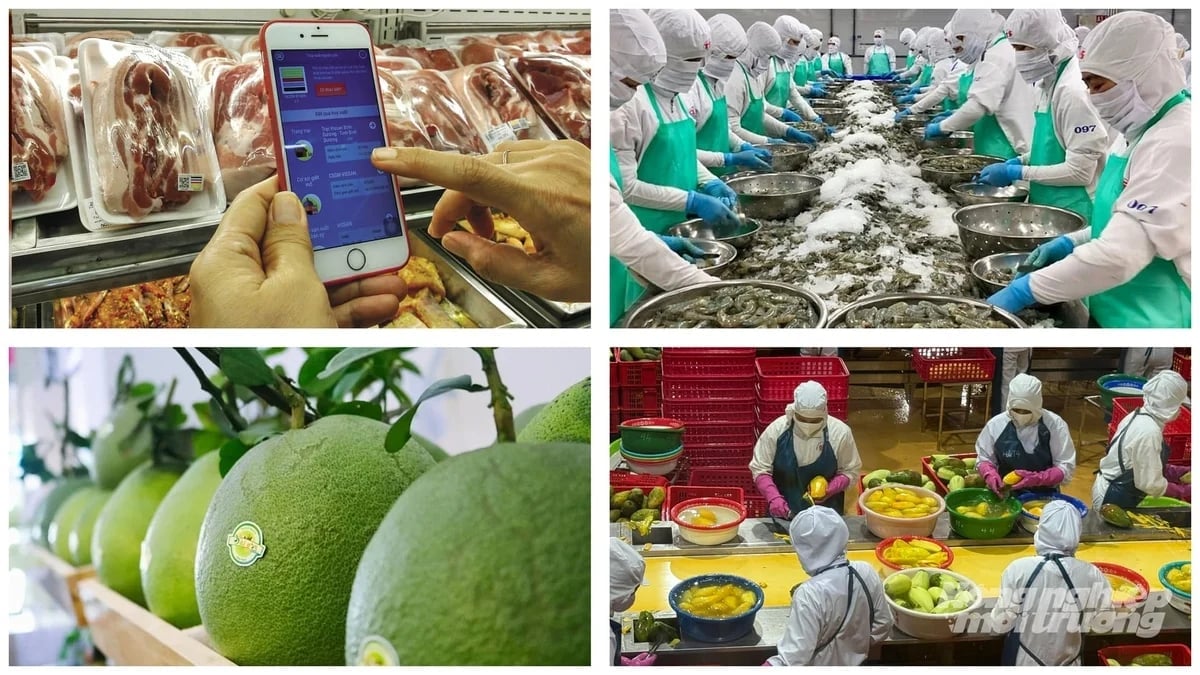 Hơn 800 nghìn sản phẩm đăng ký truy xuất nguồn gốc nông sản