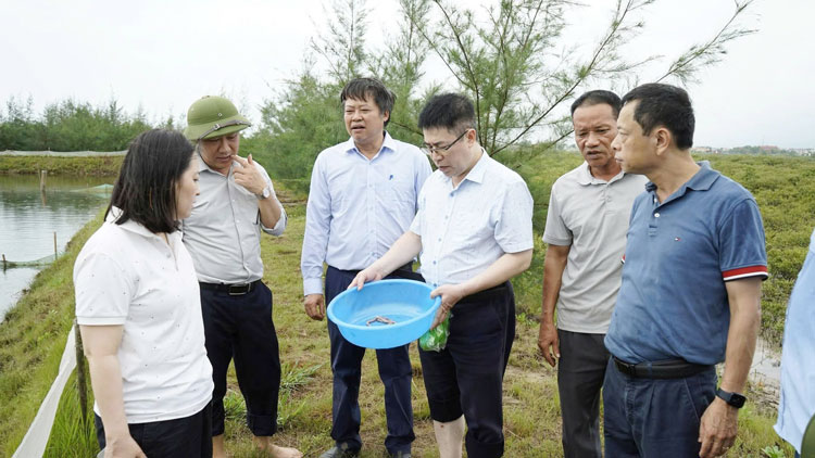Hoàn thiện công nghệ, tạo đột phá cho nghề nuôi sá sùng