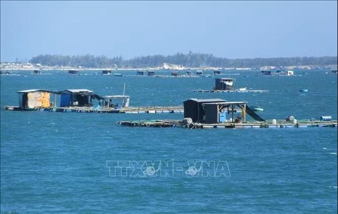 Mô hình nuôi biển đa bậc dinh dưỡng giúp giảm ô nhiễm môi trường