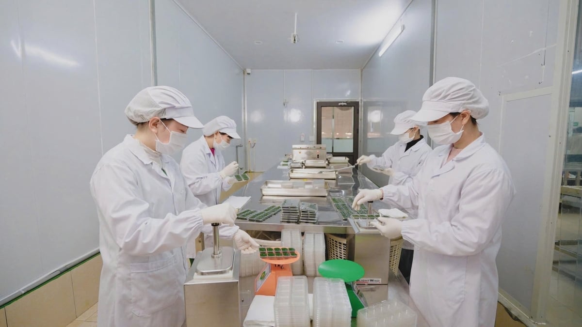 Đầu tư dự án nuôi trồng tảo xoắn công suất 600 tấn tảo tươi/năm