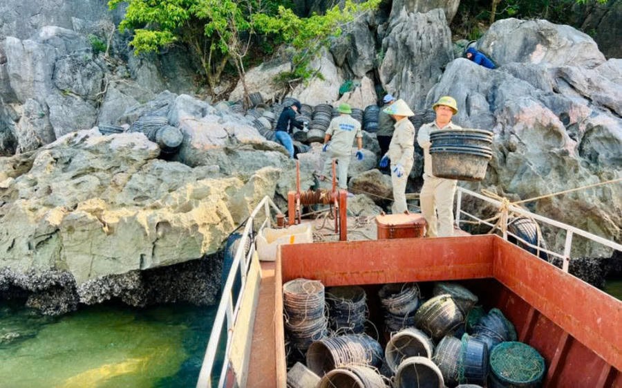 Thu gom, tiêu hủy hàng nghìn lồng nuôi thủy sản trái phép, làm sạch môi trường Vịnh Hạ Long