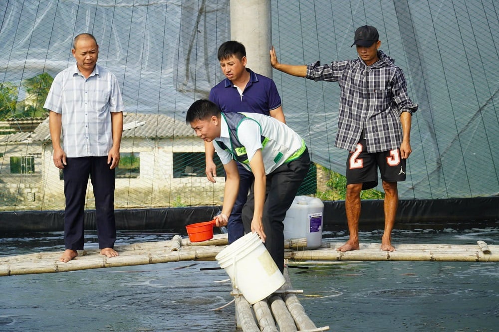 Ứng dụng công nghệ cao nâng tầm nghề nuôi tôm ven biển