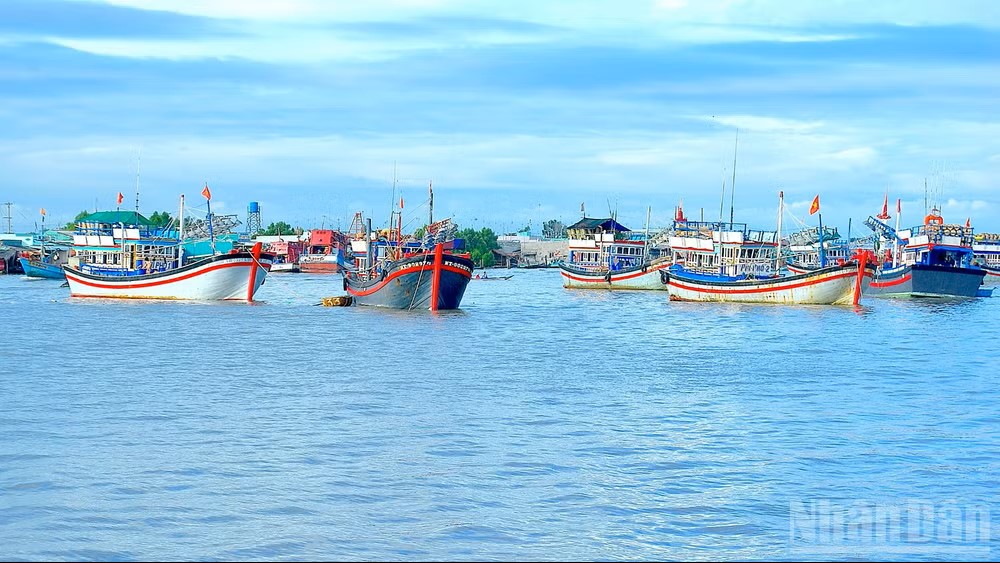 Cà Mau ưu tiên nguồn lực phát triển kinh tế biển