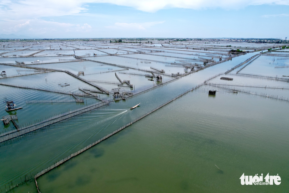 Những ngày nắng gắt, về đầm Chuồn tận hưởng không gian mênh mông, mát lành