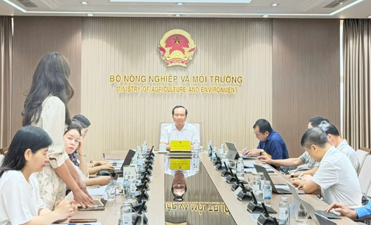Xây dựng Nghị định mới về chính sách phát triển thủy sản, thúc đẩy nghề cá bền vững