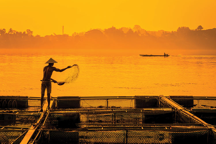 Giảm phụ thuộc hóa chất trong nuôi trồng thủ