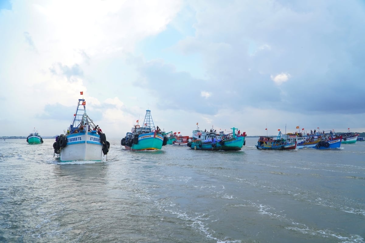 Cần Thơ công bố báo cáo hiện trạng môi trường biển và hải đảo
