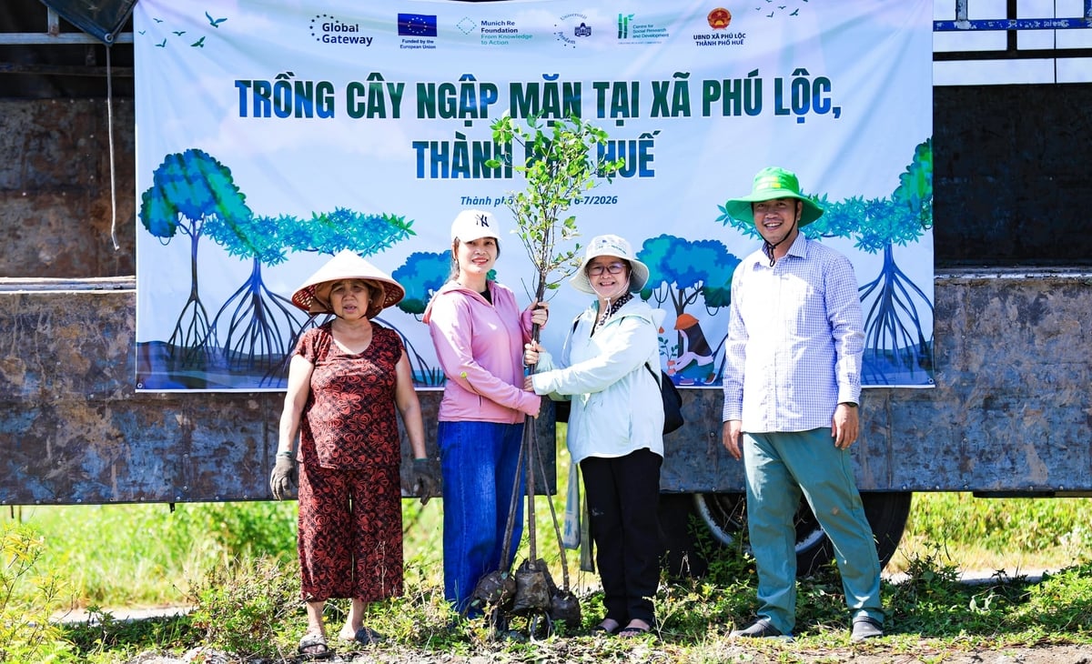 Trồng 6.000 cây ngập mặn ven đầm phá Cầu Hai
