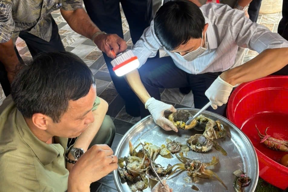 Giải pháp ban đầu ứng phó với hiện tượng cua chết ở Cà Ma