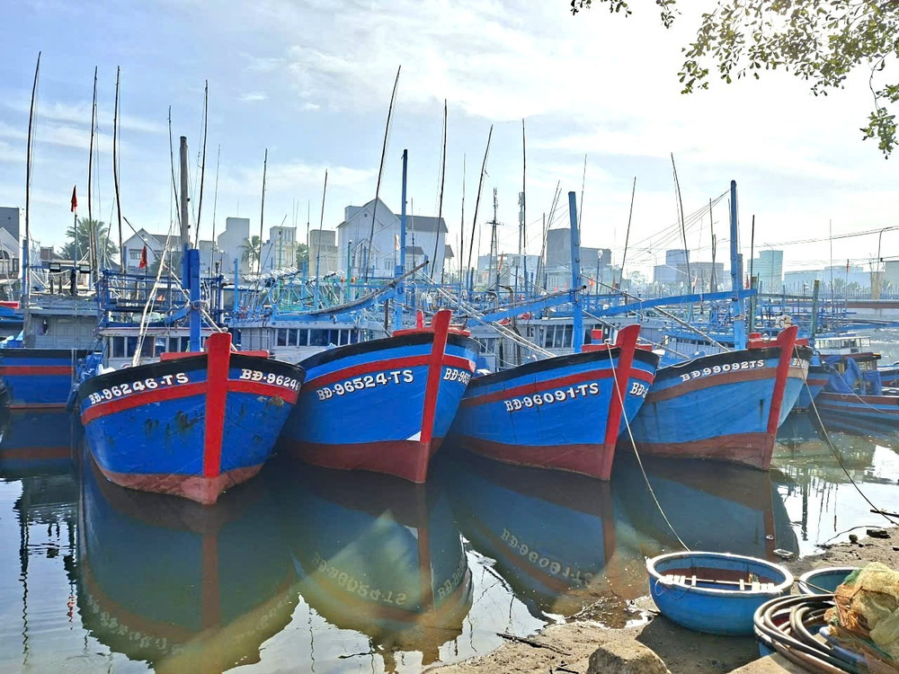 Phát triển ngành thủy sản bền vững, gắn khai thác với bảo vệ nguồn lợi