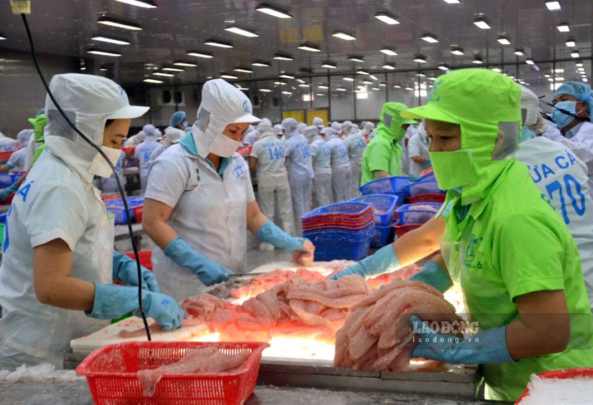 Đồng Tháp phấn đấu trở thành trung tâm phát triển thủy sản của vùng
