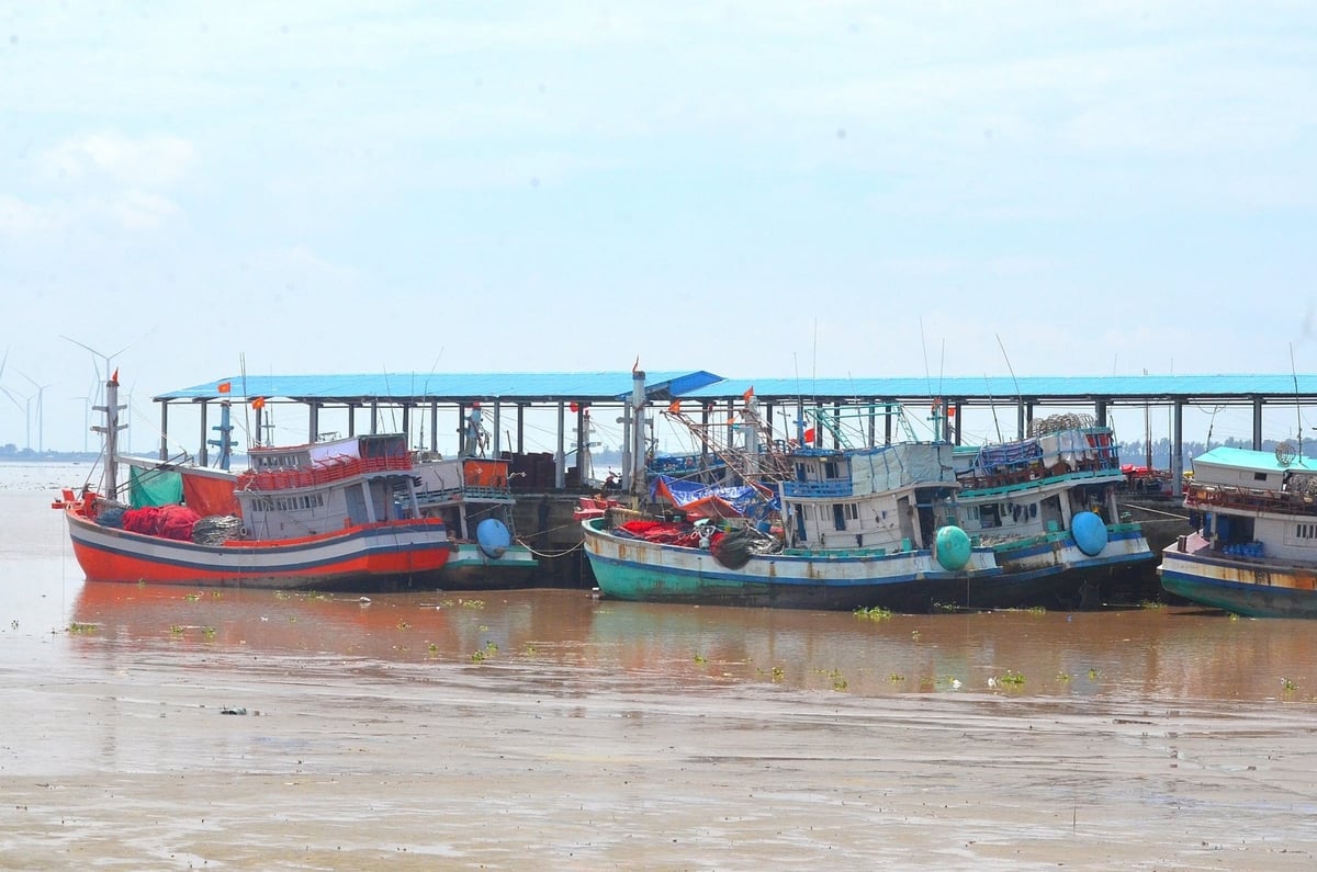 Khai thác biển giảm, nuôi tôm công nghệ cao tăng mạnh