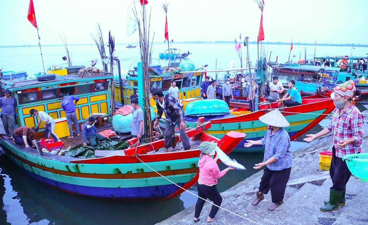 Hà Tĩnh: Nuôi trồng thủy sản đạt hơn 410 tỷ đồng sau 7 tháng, tôm công nghệ cao dẫn dắt tăng trưởng