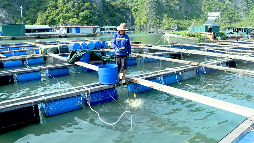 Thẩm quyền của địa phương trong lĩnh vực biển và hải đảo