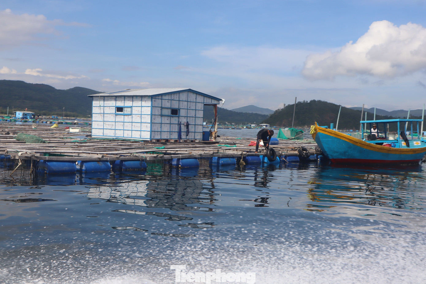Lồng bè ken đặc ở ‘thủ phủ’ tôm hùm