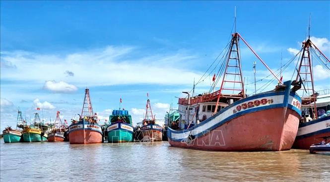 Khắc phục 'thẻ vàng' IUU: Minh bạch nguồn gốc thủy sản từ công nghệ số