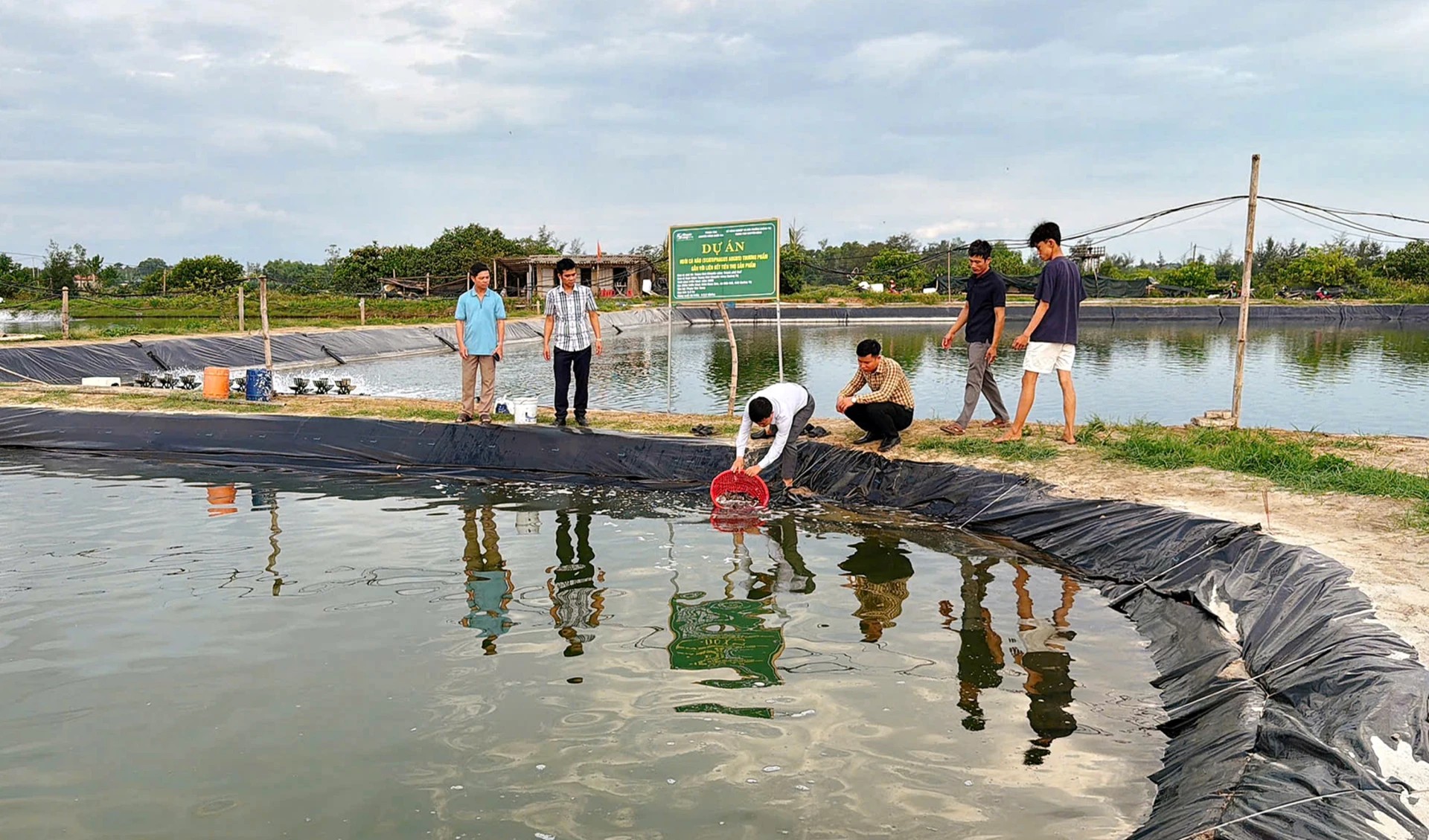Triển khai mô hình nuôi cá nâu thương phẩm gắn với liên kết tiêu thụ sản phẩm