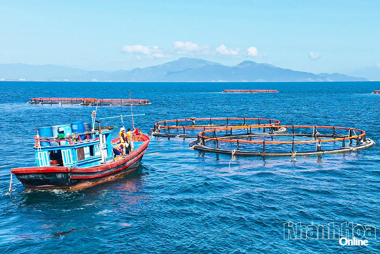 Ứng dụng công nghệ trong kinh tế biển