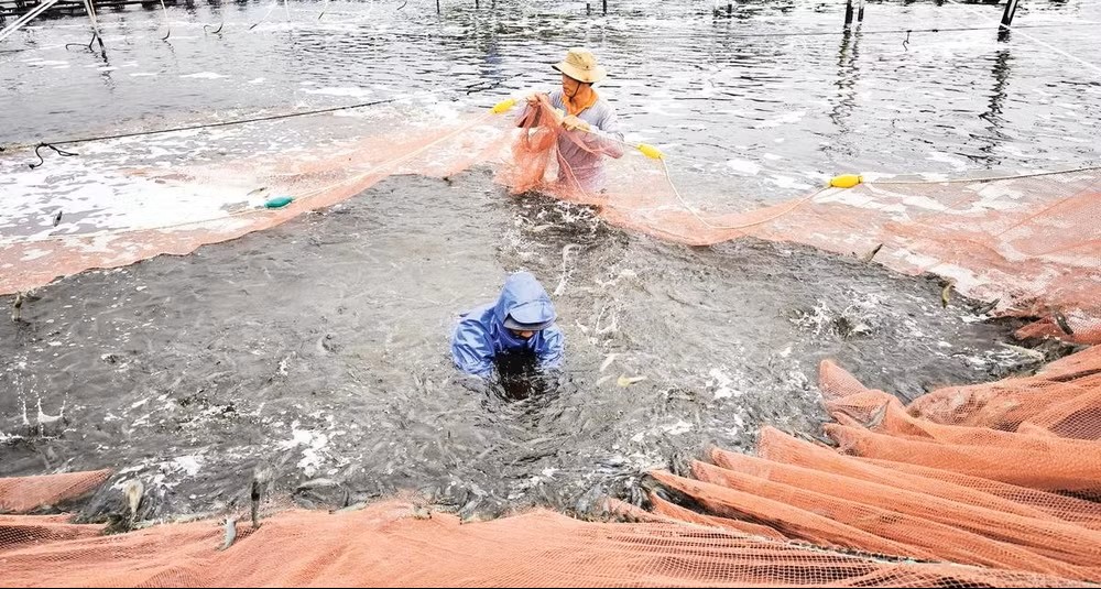 Hoàn thiện hạ tầng nuôi trồng thủy sản