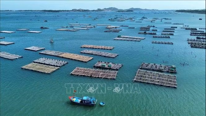 Giảm rủi ro nuôi trồng thủy sản trước tác động từ El Nino
