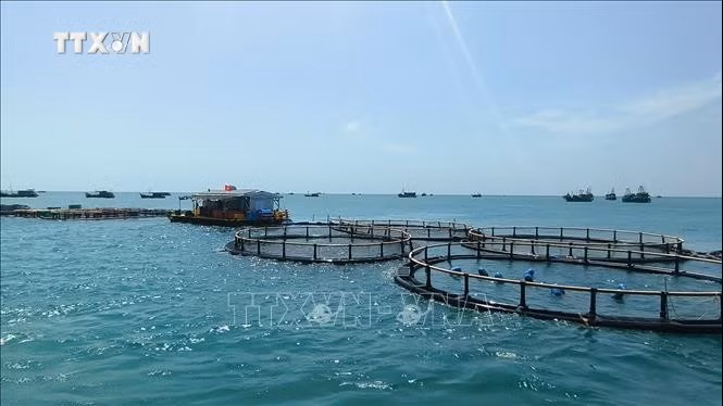 Ưu tiên nâng tầm cho dự báo biển