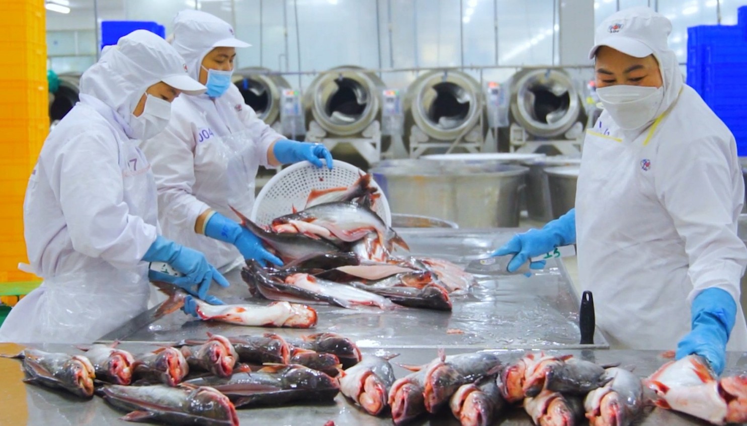 Từ 'phế phẩm' thủy sản thành nguồn thu ngoại tệ