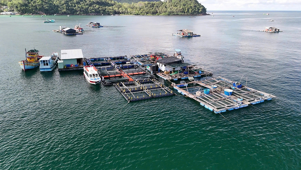 An Giang phát triển nuôi biển bền vững