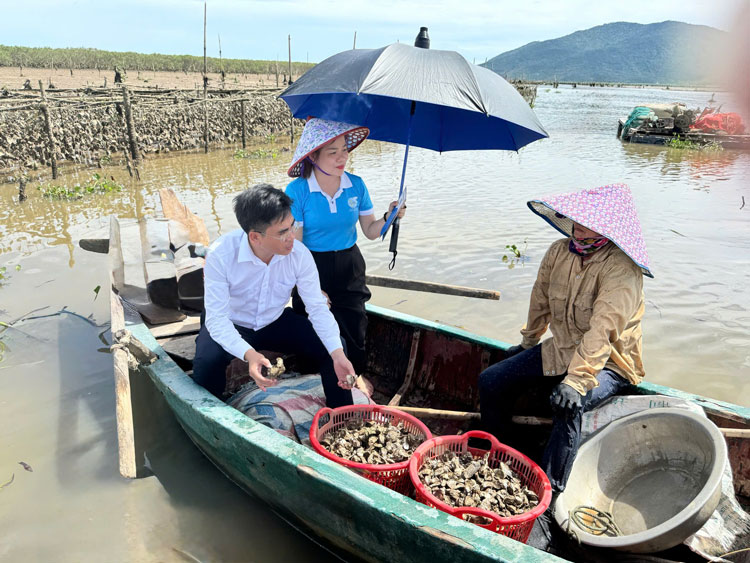 Hà Tĩnh: Nuôi hàu treo mở hướng sinh kế mới ở vùng ven biển