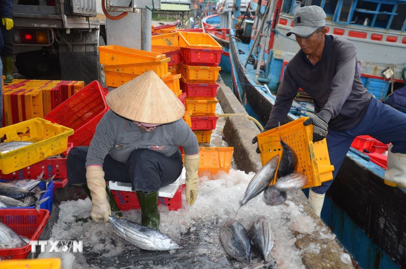 Lâm Đồng đặt mục tiêu trở thành trung tâm lớn về khai thác thủy sản