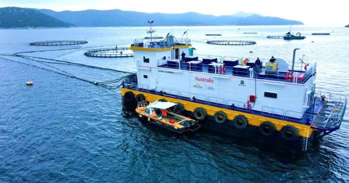 Ứng dụng khoa học công nghệ trong nuôi tôm