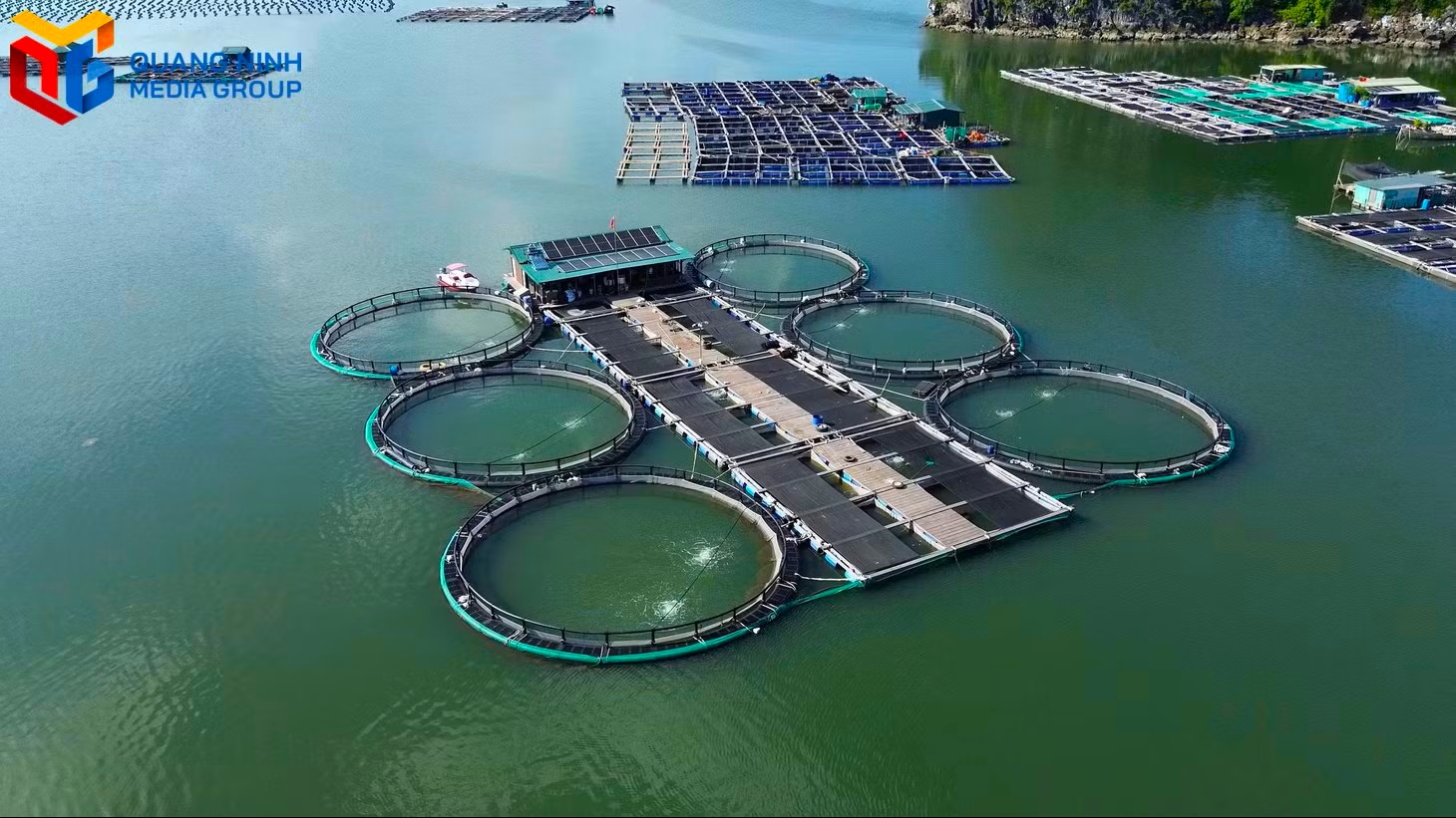 Hướng mở phát triển kinh tế thuỷ sản của Cẩm Phả