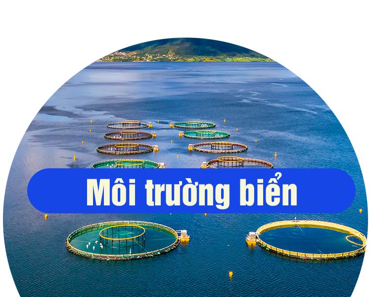 Môi trường biển