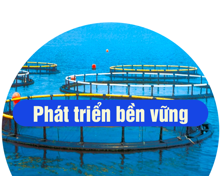 Phát triển bền vững