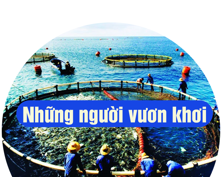 Những người vươn khơi