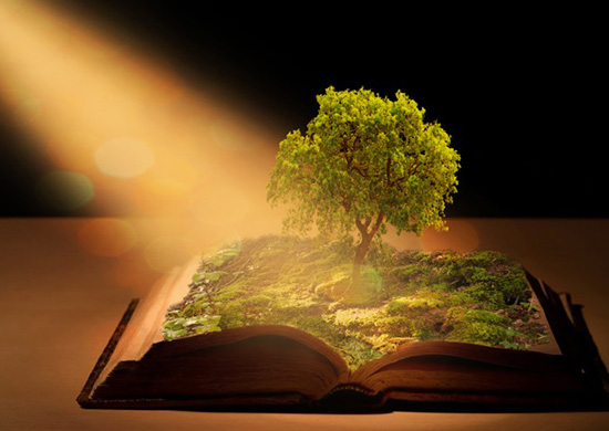 Top 10 cuốn sách mà bạn nên đọc ít nhất một lần