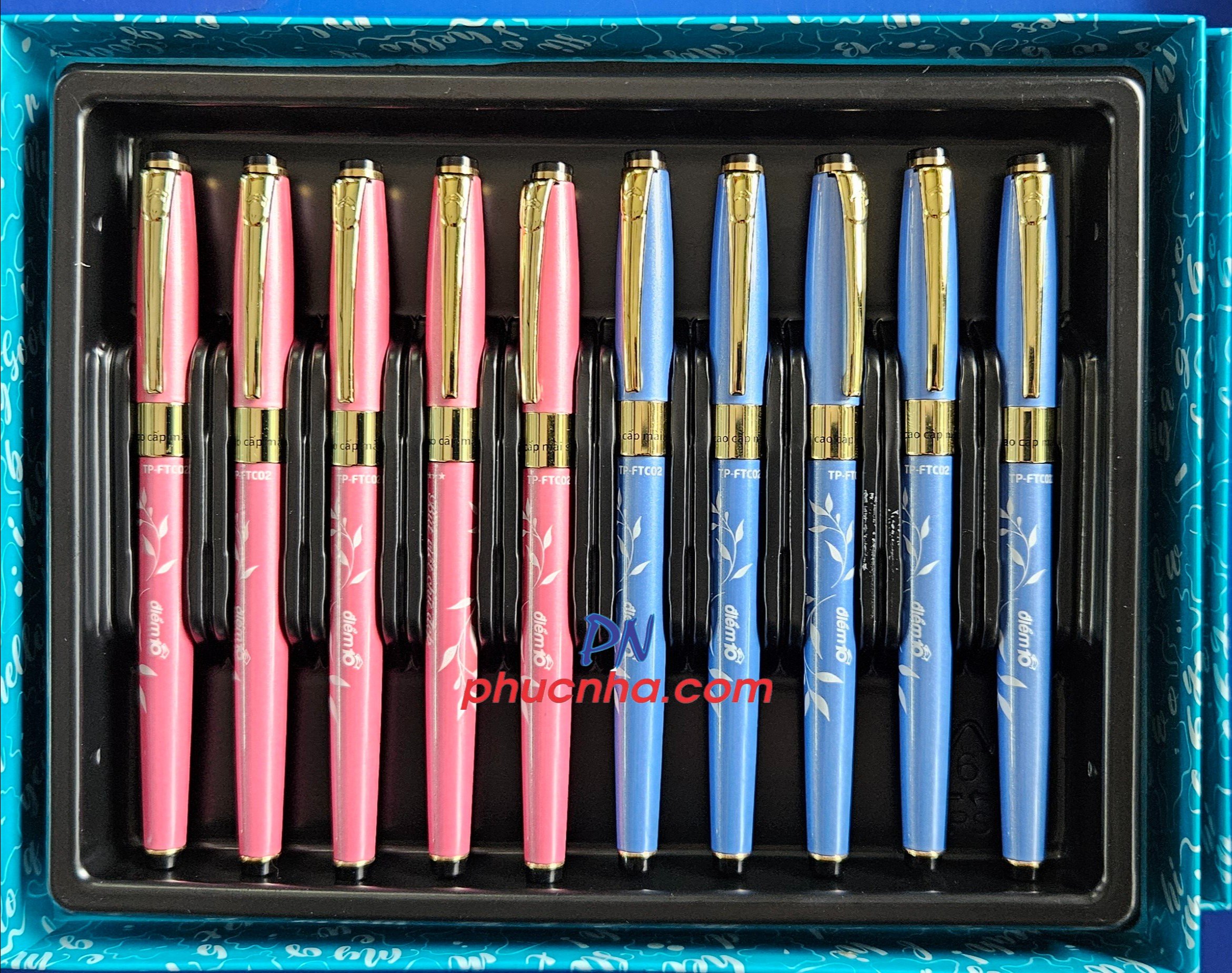 Bút máy Thiên Long Điểm 10 TP-FTC02 ngòi êm (10 cây/ khay)