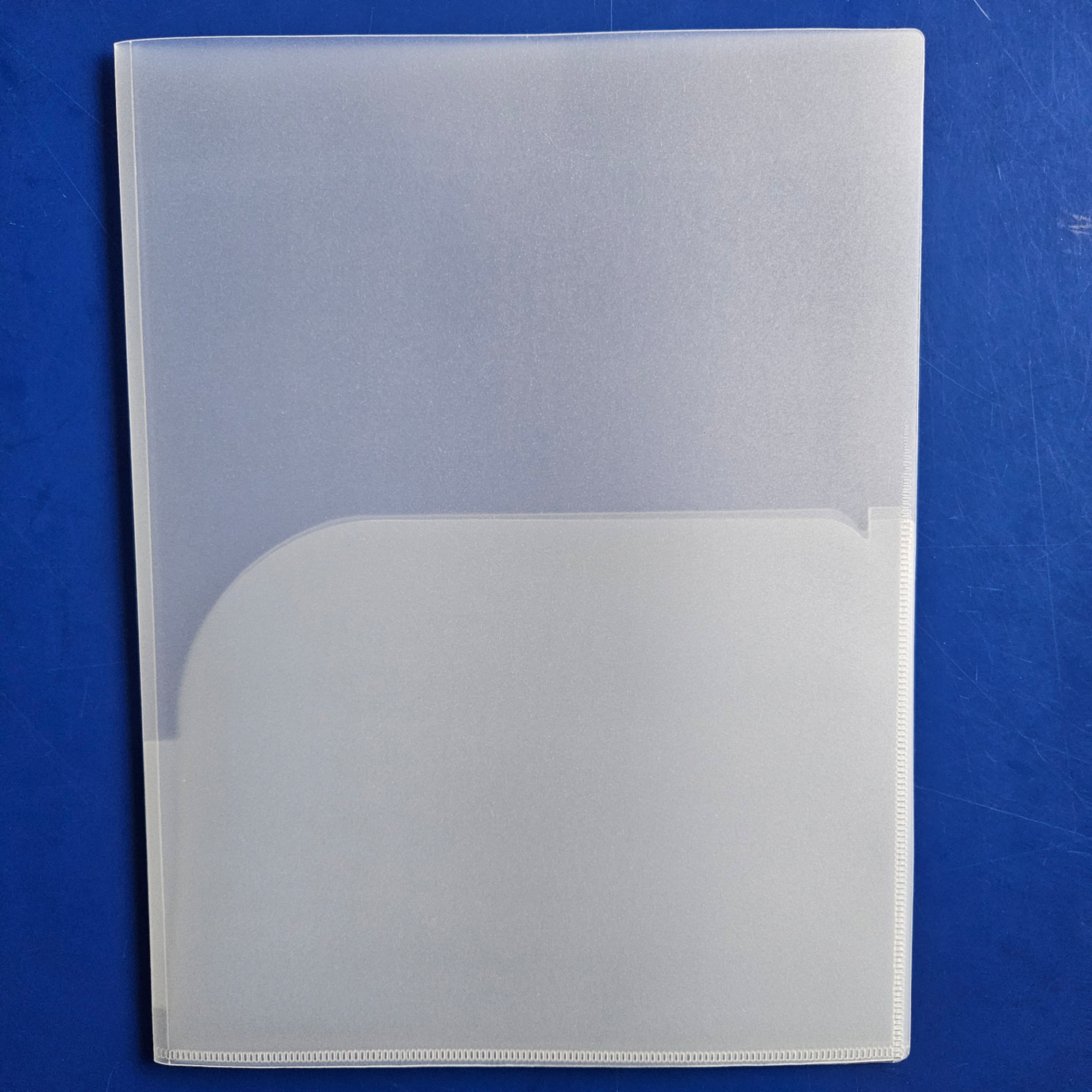 Bìa bướm, file 2 túi cạnh nhựa A4 LD dày (12)