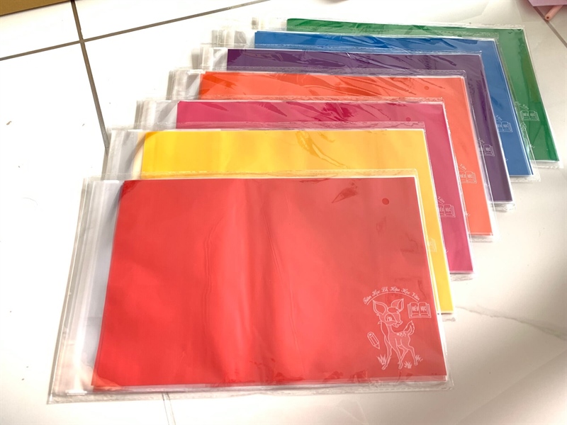 Bìa bao tập HS lồng giấy màu thủ công (kiếng mỏng)