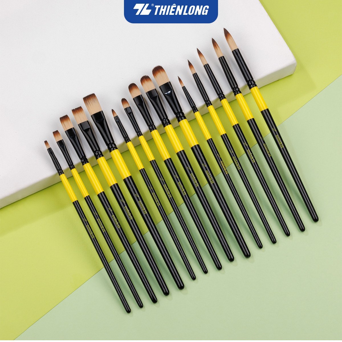 Set 5 cây cọ vẽ Thiên Long