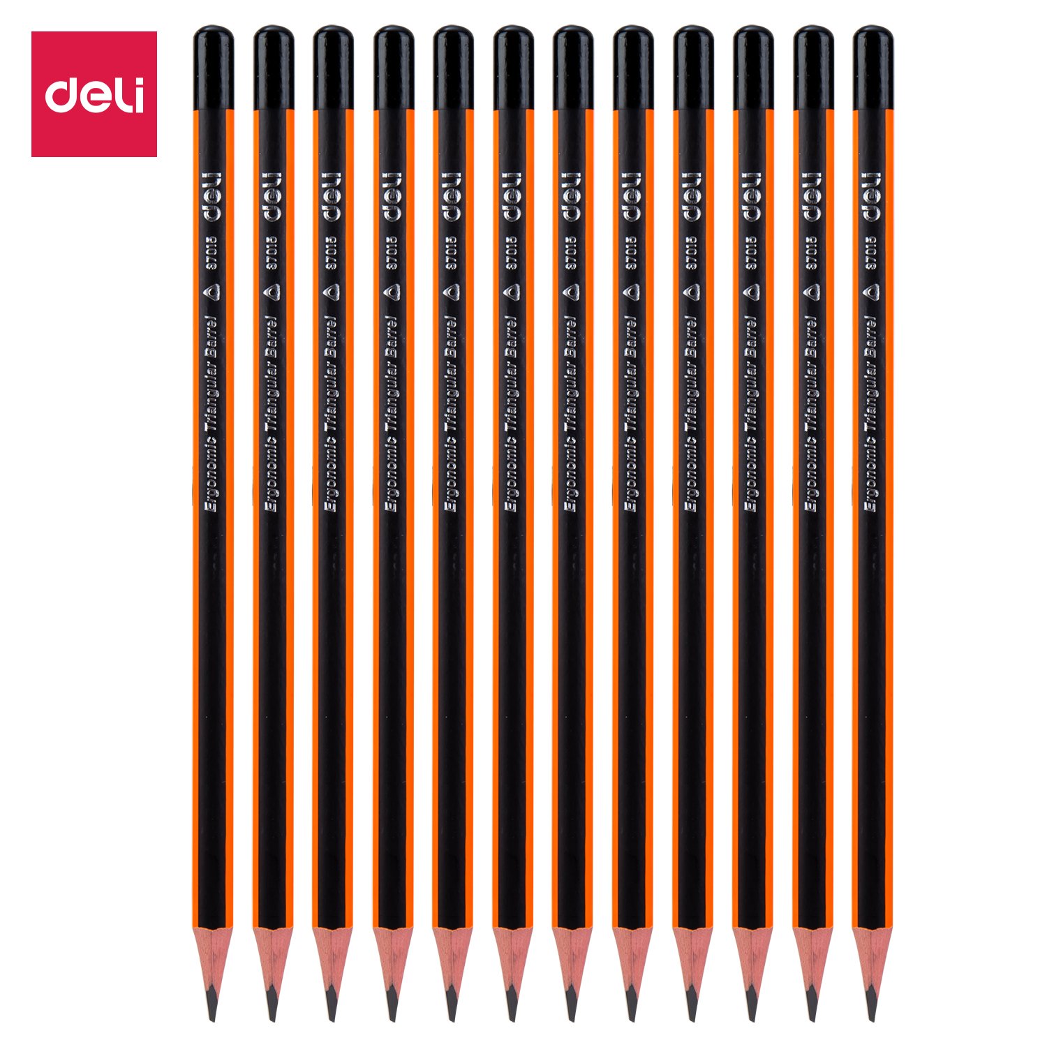 Bút chì gỗ Deli 37015 2B (12)