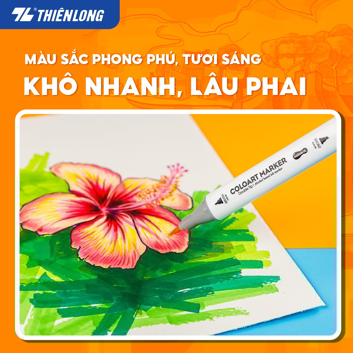 Bút lông màu mỹ thuật (lông dầu) Thiên Long Colokit AM-C002 art marker acrylic 2 đầu