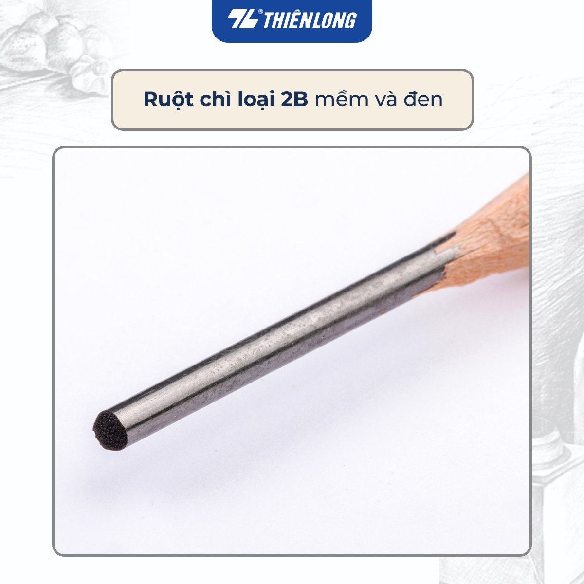 Bút chì gỗ 2B Thiên Long GP-018 (10)