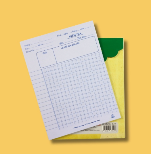 Tệp kiểm tra Thuận Tiến 100gsm 20 đôi (5/120)