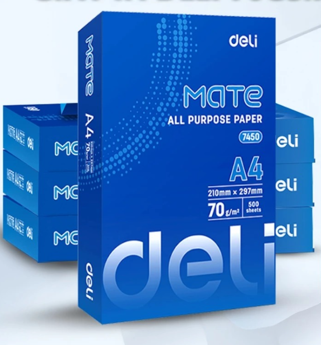 Giấy in Deli 7450 Mate 70gsm A4 (5)
