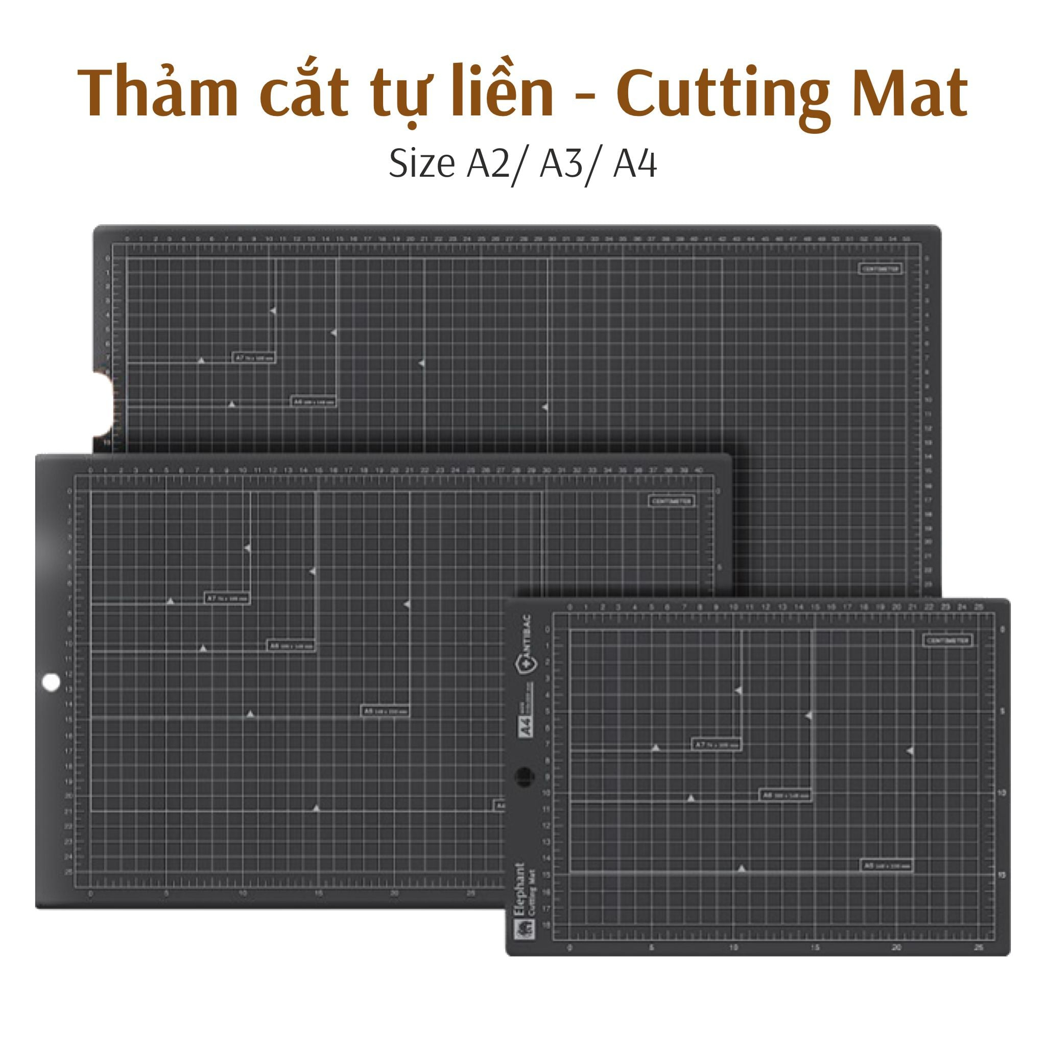 Tấm thảm lót cắt