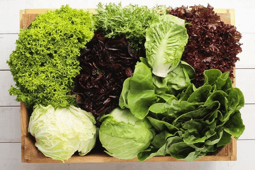 Mua hạt giống rau ở đâu? Hướng dẫn chi tiết mua hạt giống rau Online tại Bác Hai Nông