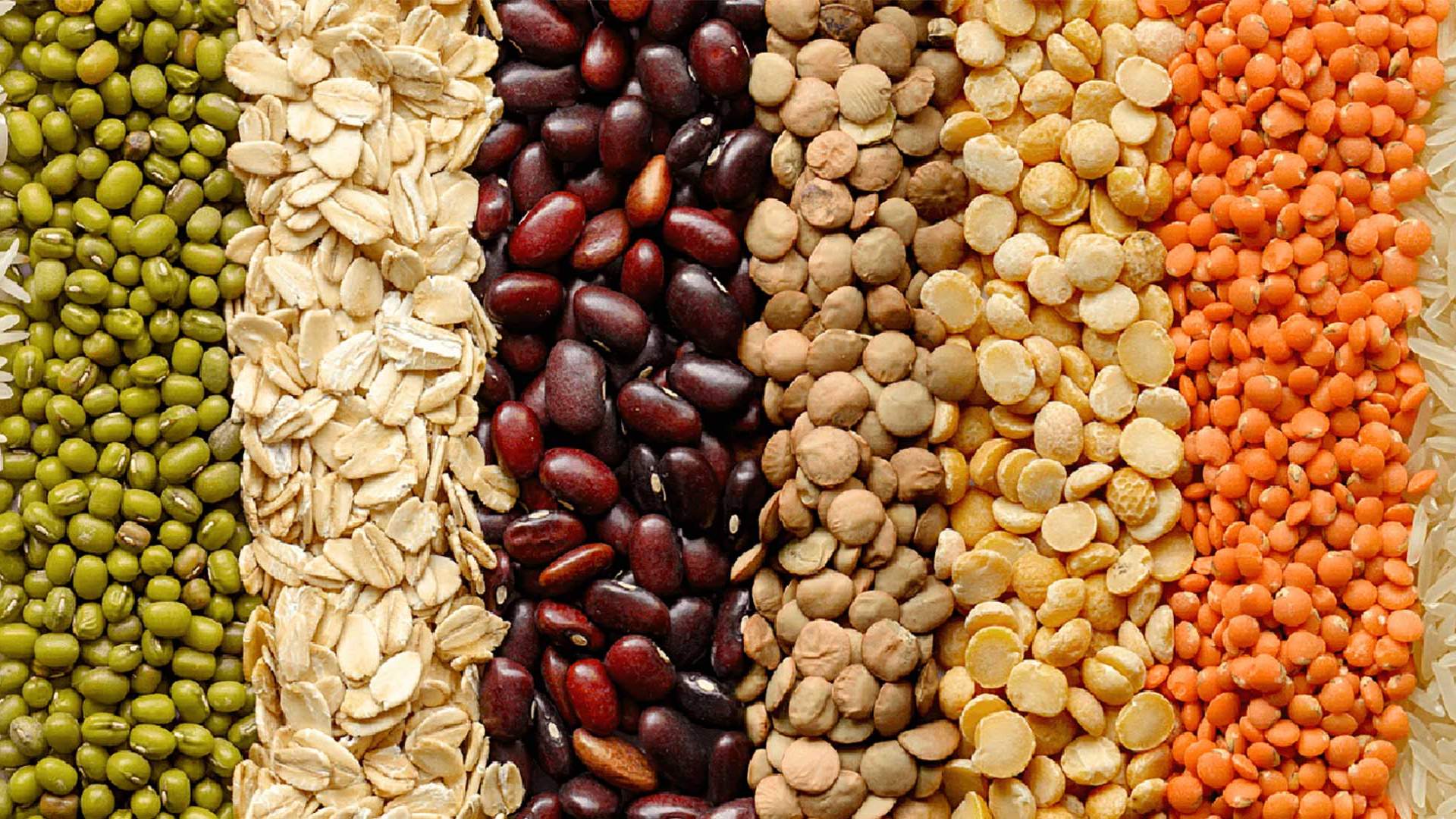 Hạt giống chịu nhiệt là gì? Những lưu ý khi sử dụng hạt giống chịu nhiệt trong trồng trọt