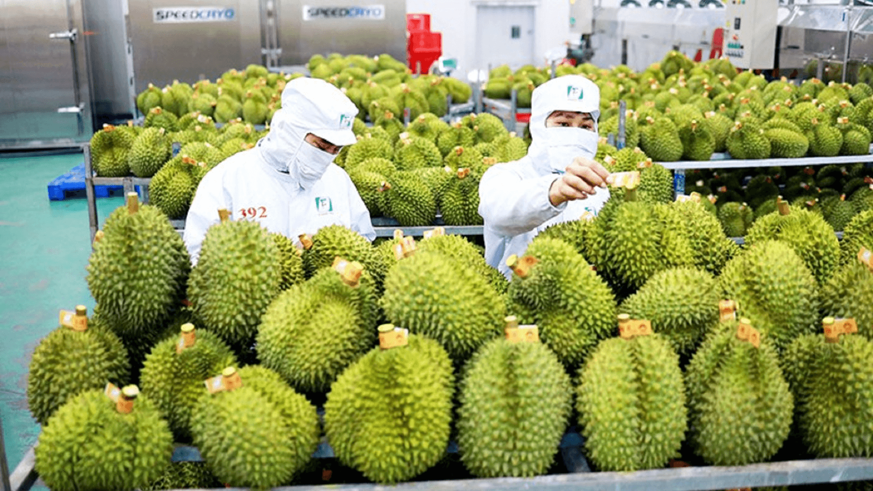 Báo cáo tổng quan ngành Trồng trọt Việt Nam giai đoạn 2018 - 2023