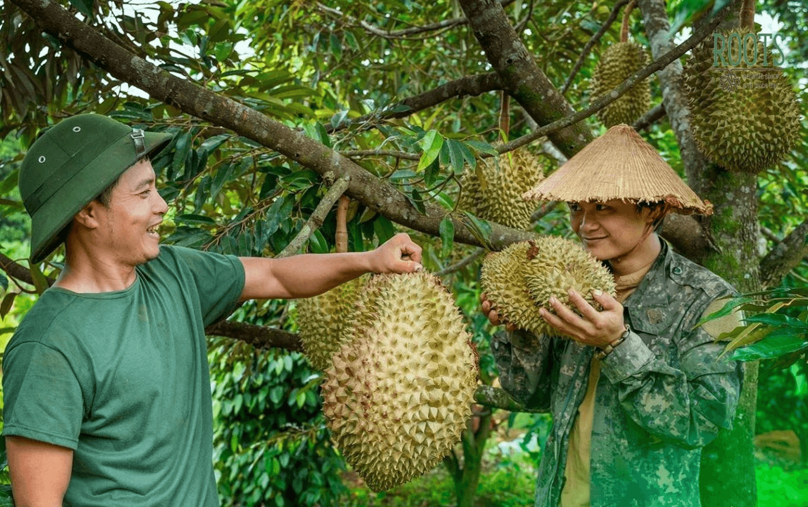 Báo cáo tổng quan xuất khẩu Sầu riêng Việt Nam 6 tháng đầu năm 2024